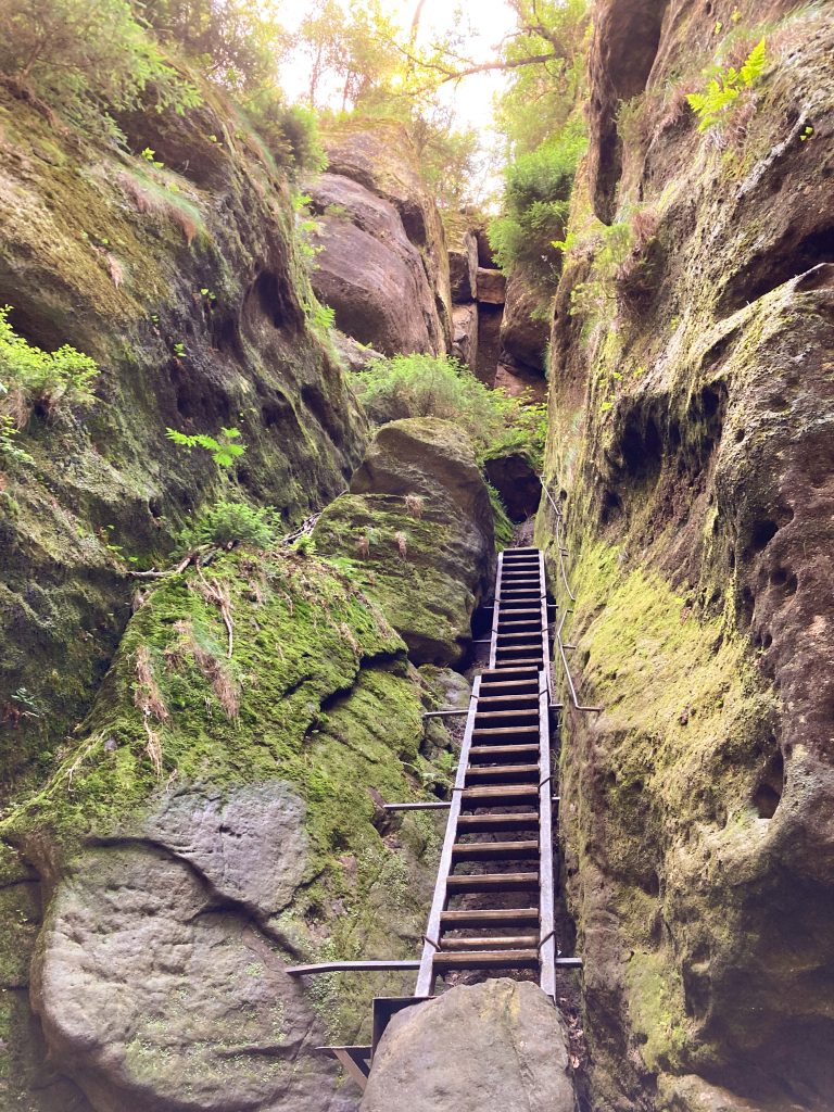 Leiter in der Wilden Hölle