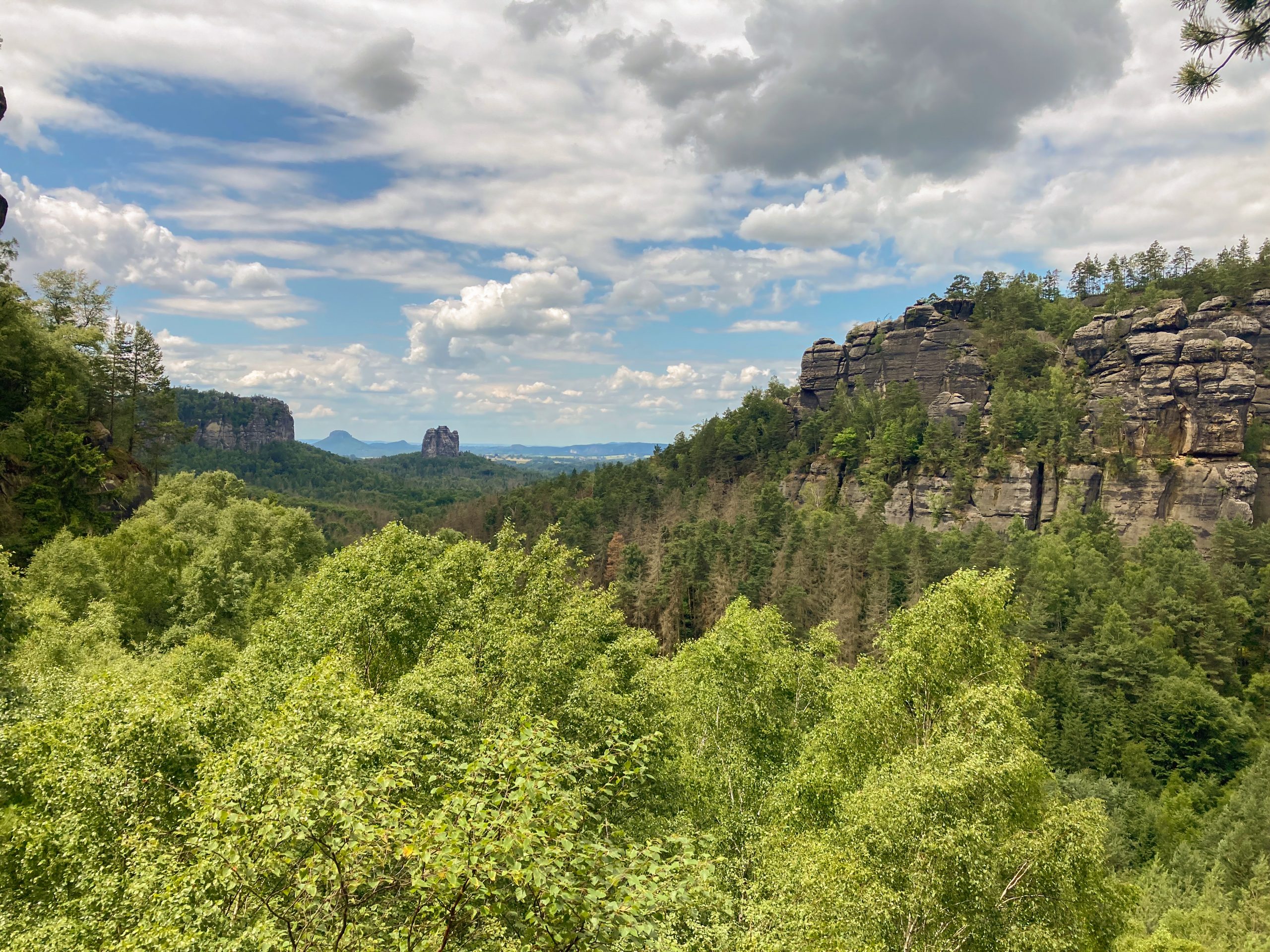 Ausblick von der Domkanzel u.a. auf den Falkenstein