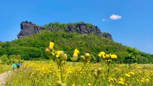 Mehr über den Artikel erfahren #1 Kleine aber feine Tour auf den Lilienstein mit Fährfahrt über die Elbe