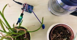 Mehr über den Artikel erfahren Automatische Pflanzenbewässerung